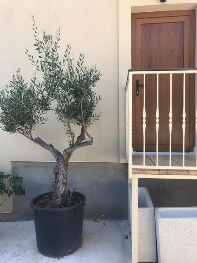 Novem Διαμέρισμα Ζαντάρ Εξωτερικό φωτογραφία