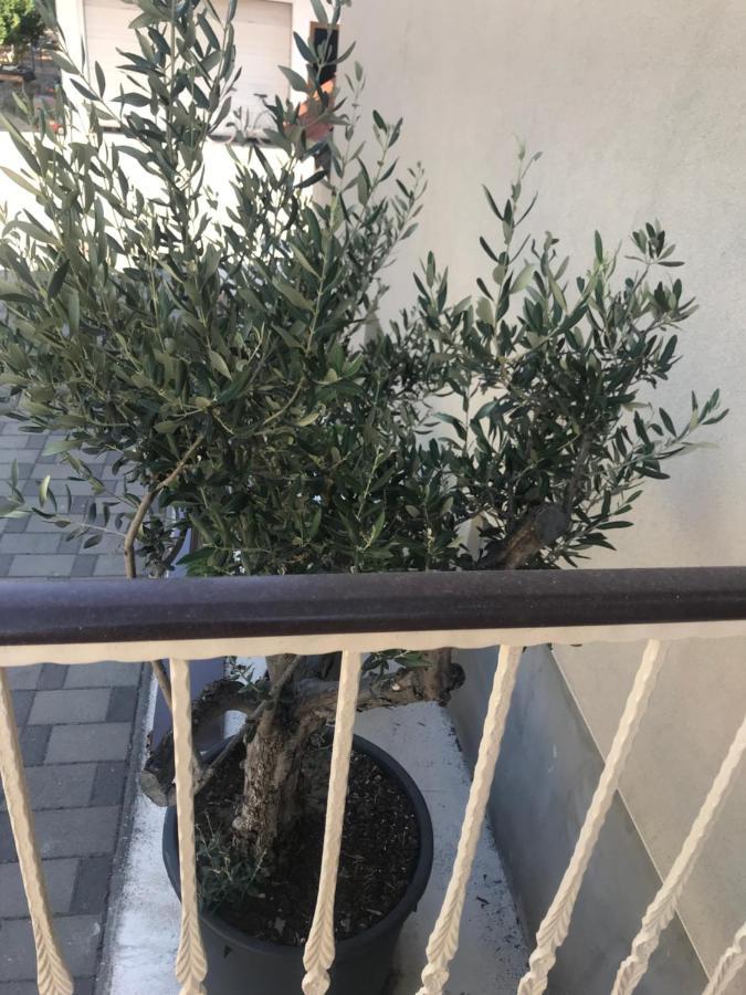 Novem Διαμέρισμα Ζαντάρ Εξωτερικό φωτογραφία